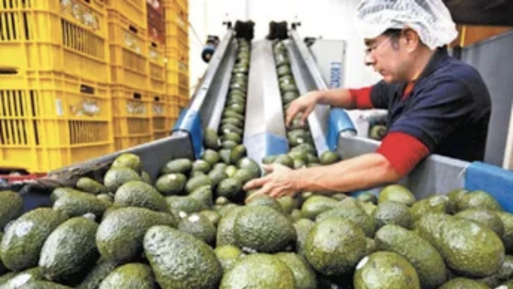 El aguacate es el principal invitado a la mesa para el Super Bowl