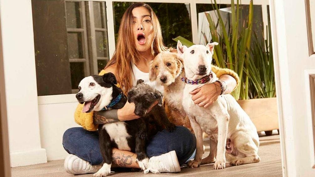 Erika Fernández tiene reality sobre los perritos