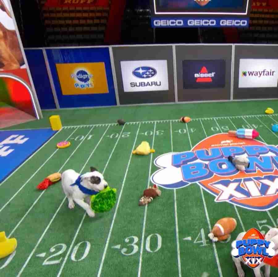 Juego de PuppyBowl