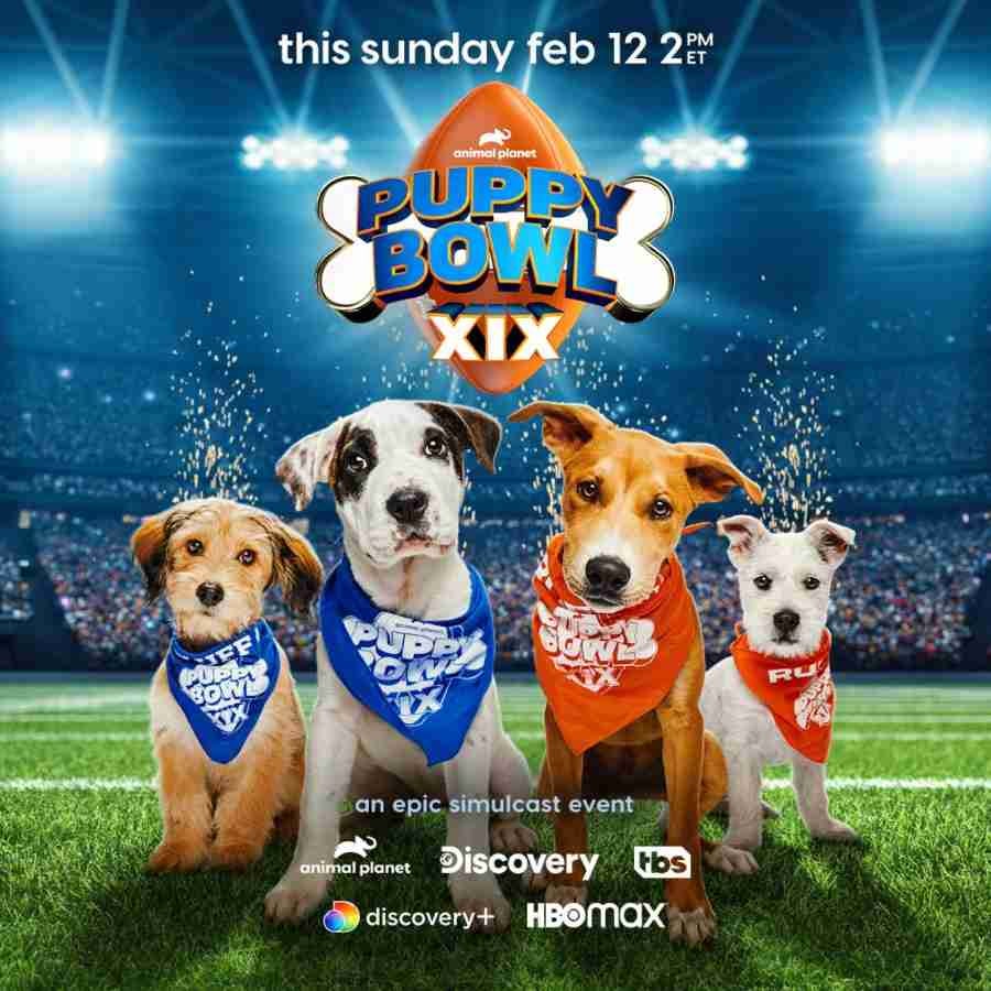 Publicidad de Puppy Bowl