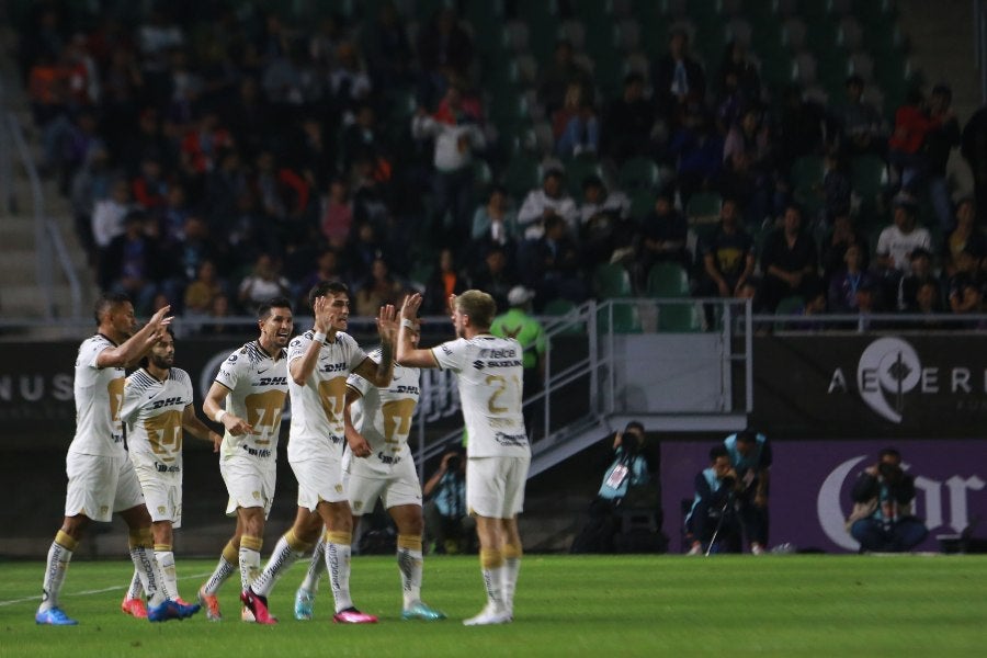 Conjunto felino festejando desde el Estadio Kraken 