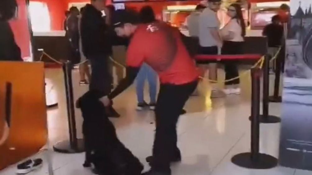 Empleado de Cinemex causa indignación por 'maltratar' a un perro