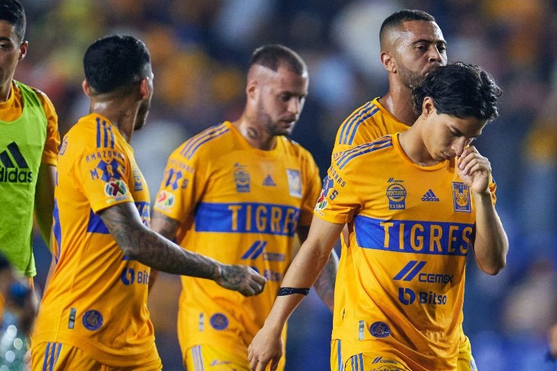 Tigres en lamento