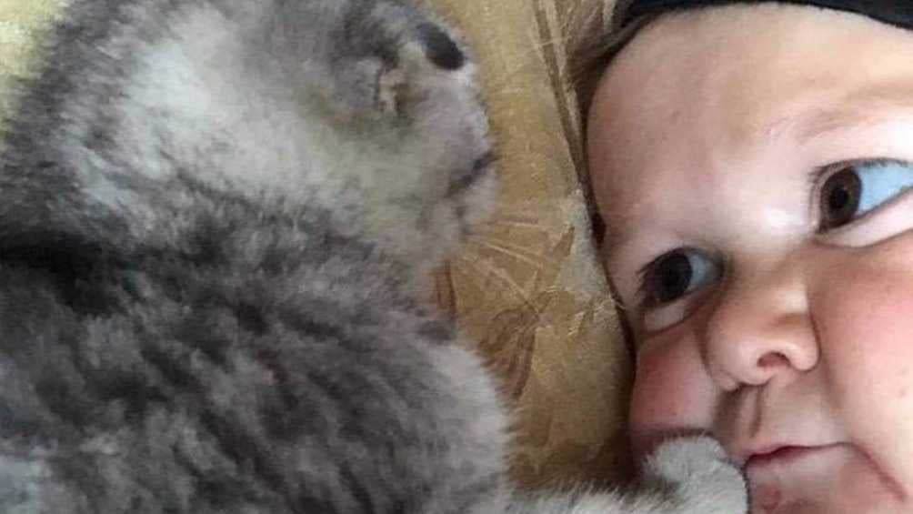 El pequeño hombre con su mascota