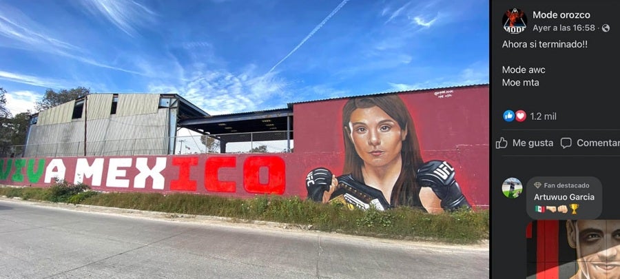 Mural de Alexa Grasso en Tijuana