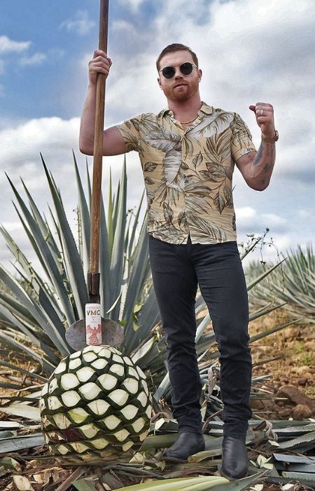 Canelo en una plantación de agave, como jimador