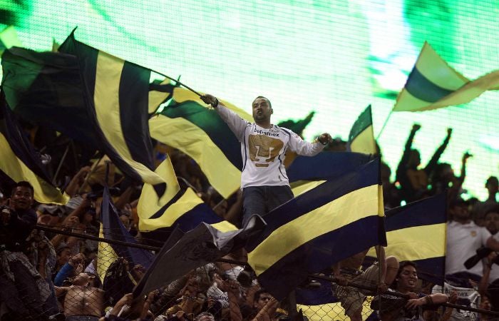 Aficionado de Pumas en un partido ante América en el Estadio Azteca