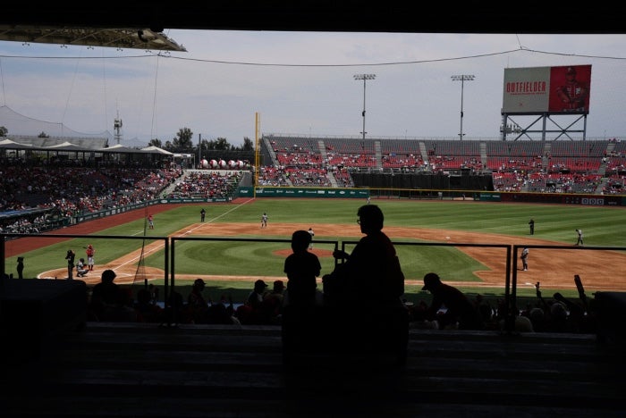 Estadio Alfredo Harp Helú