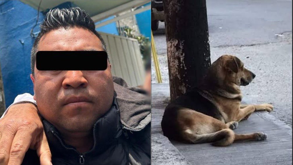 Detienen a Sergio 'N' que aventó a un perrito a cazo con aceite hirviendo