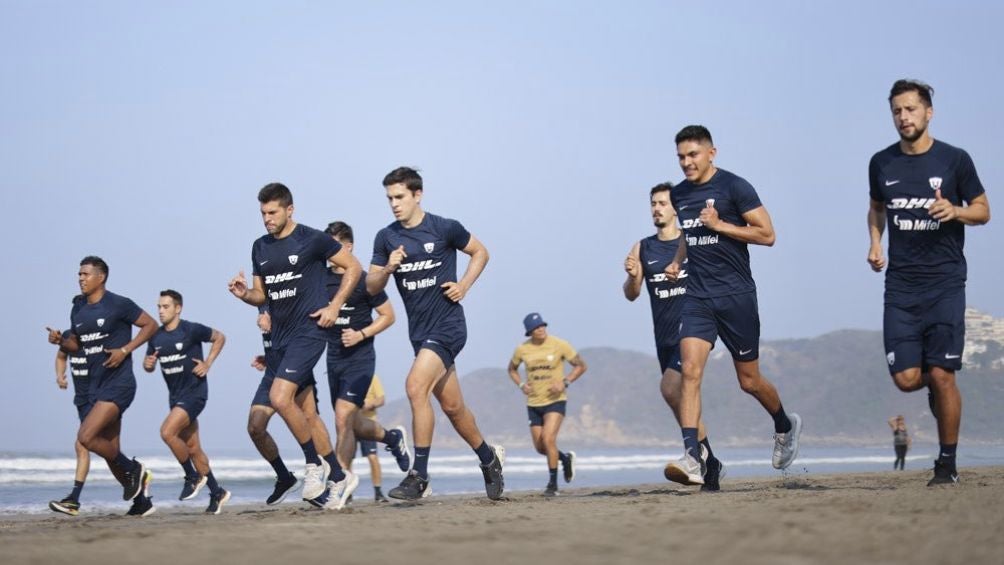 Pumas durante una sesión en la playa