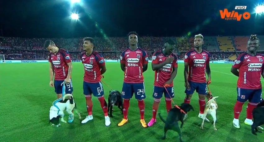 Esto sucedió en el partido de Independiente contra Junior de Barranquilla