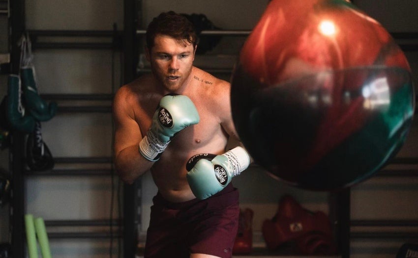 Canelo en preparación