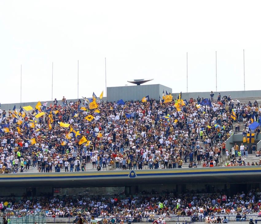 Aficionados de Pumas