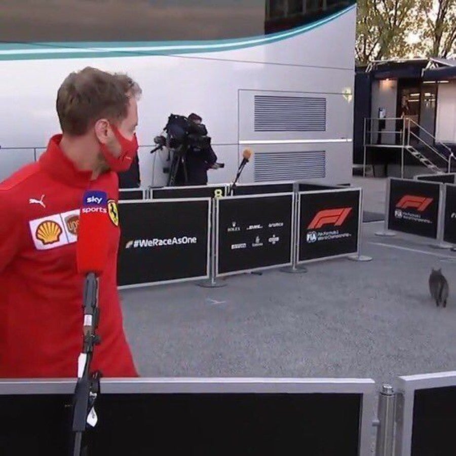 Sebastian Vettel observando a Formulino