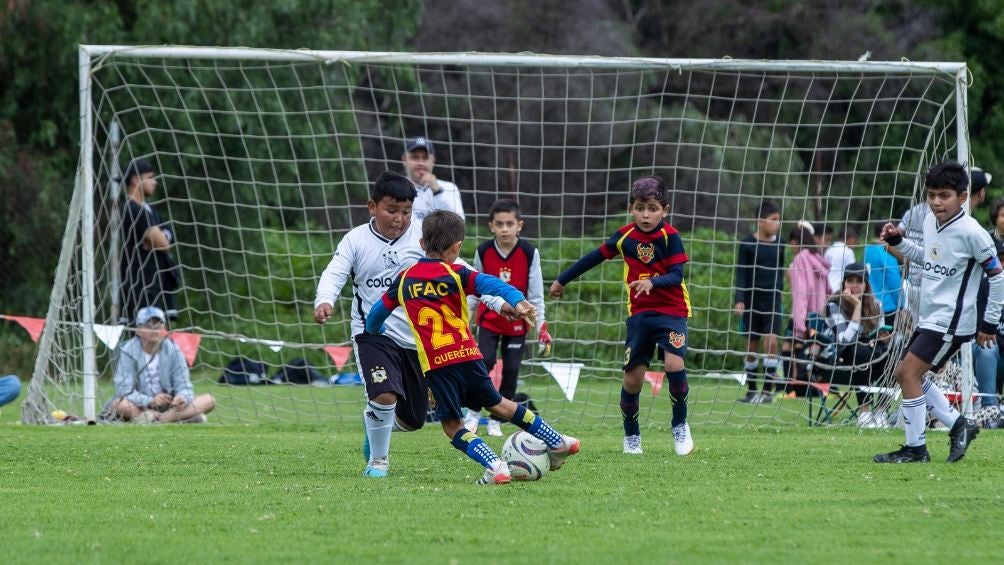 “Campos Los Tecolotes” alberga el torneo.