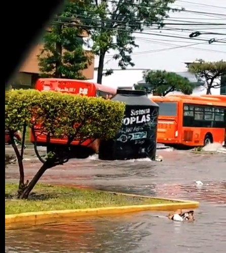 Tinaco flota en avenida de Zapopan