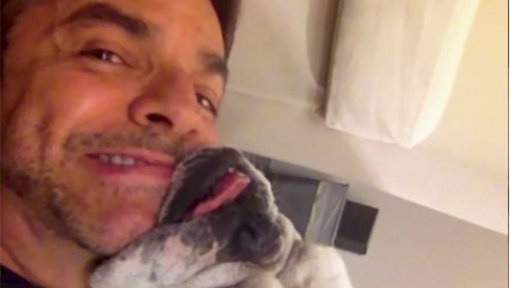 Derbez con su perrita Fiona