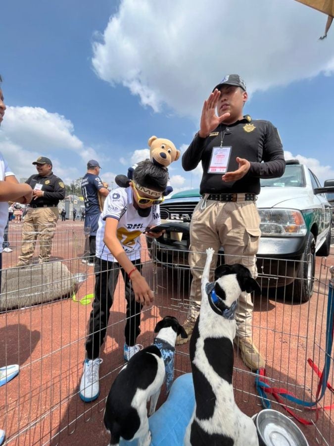 Afición de Pumas pudo ver a los perritos