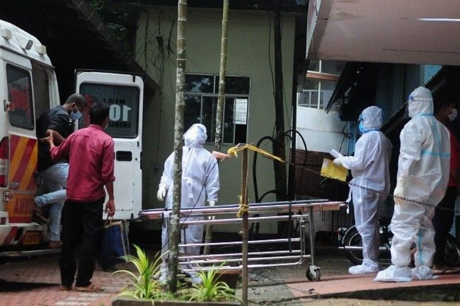 Virus Nipah puede ser una amenaza global