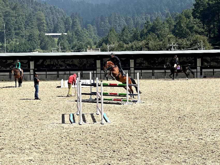 Nicolás Pizarro, el mejor jinete mexicano posicionado en la FEI