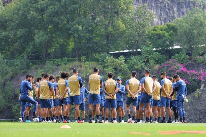 Pumas promoverá la adopción de perros y gatos 