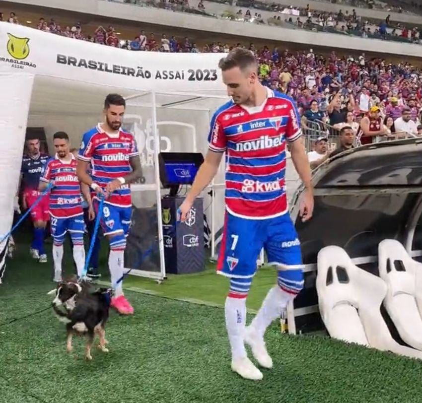 La salida de los futbolistas con los animales 