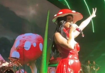 Katy Perry estuvo en concierto privado de Televisa