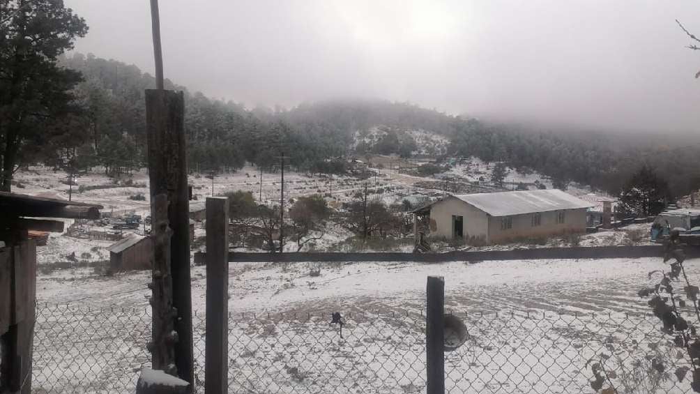 Algunas zonas altas de Durango amanecieron baja la nieve. 