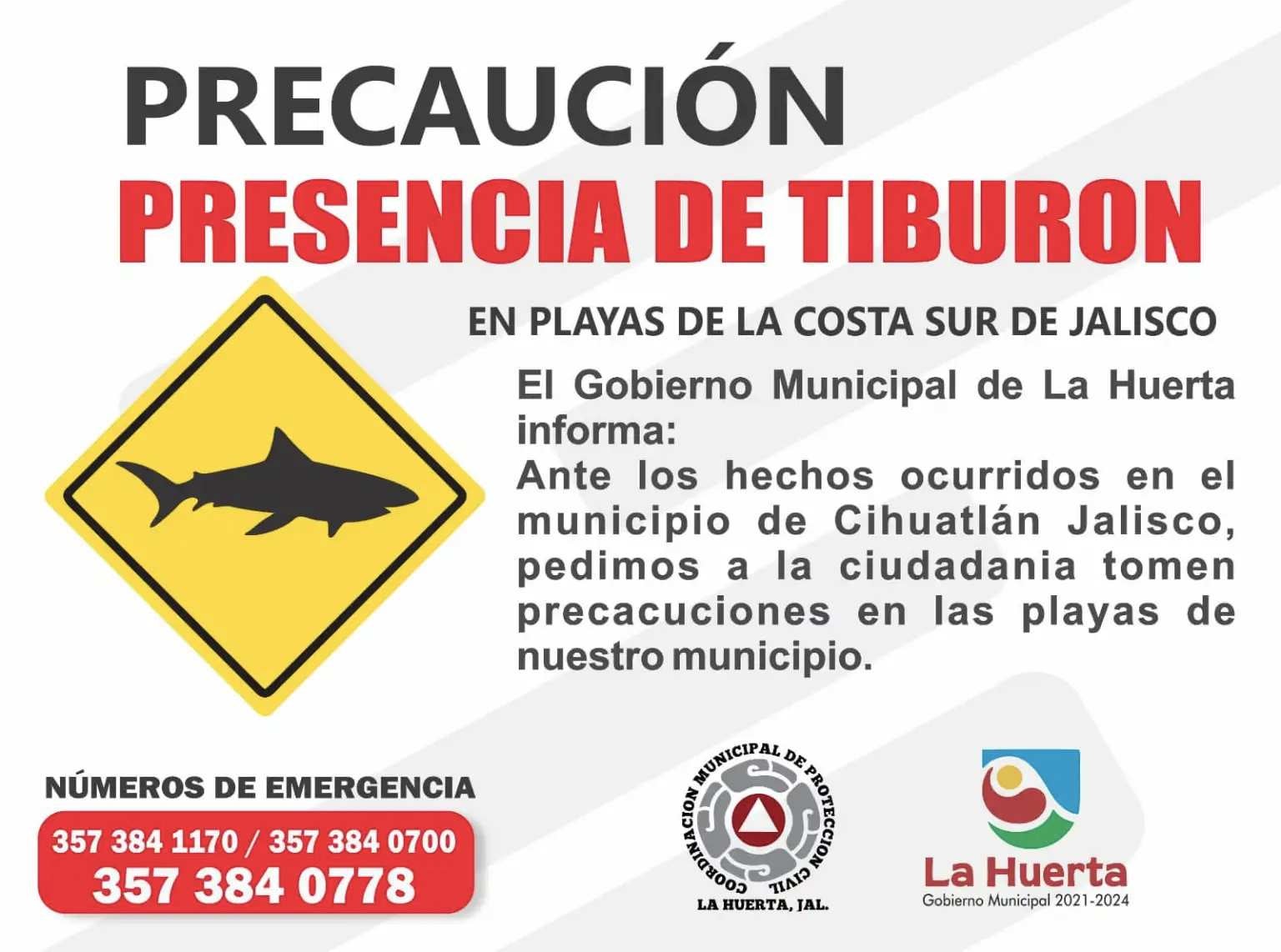 Mujer Tiburones