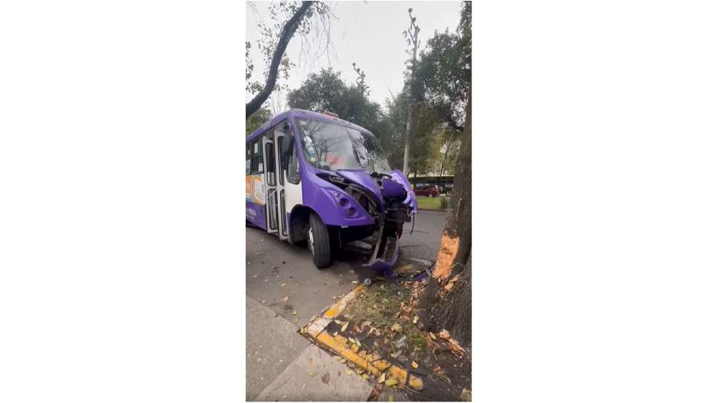 El camión de transporte público chocó de frente con un árbol. 