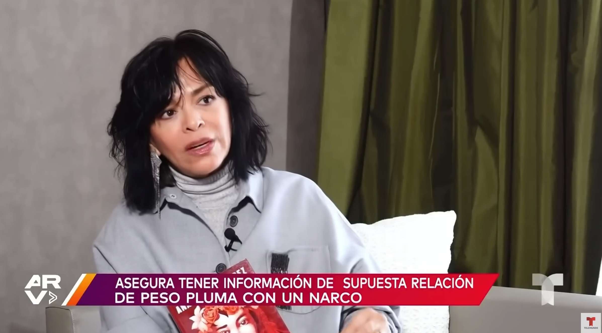 Anabel Hernández asegura en una entrevista que el cantante es vocero de los 'Chapitos'.