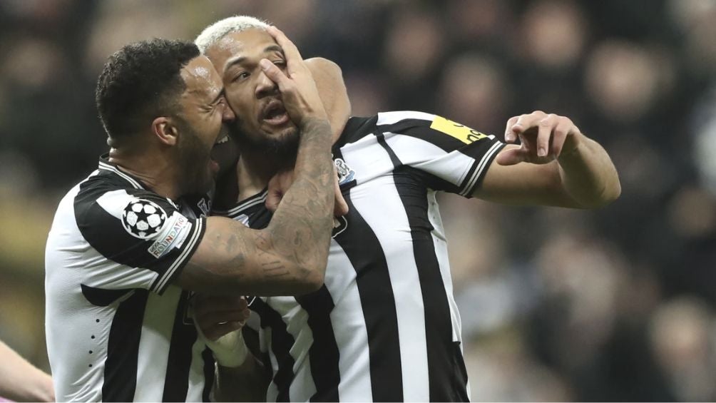 Joelinton celebra el gol con el Newcastle