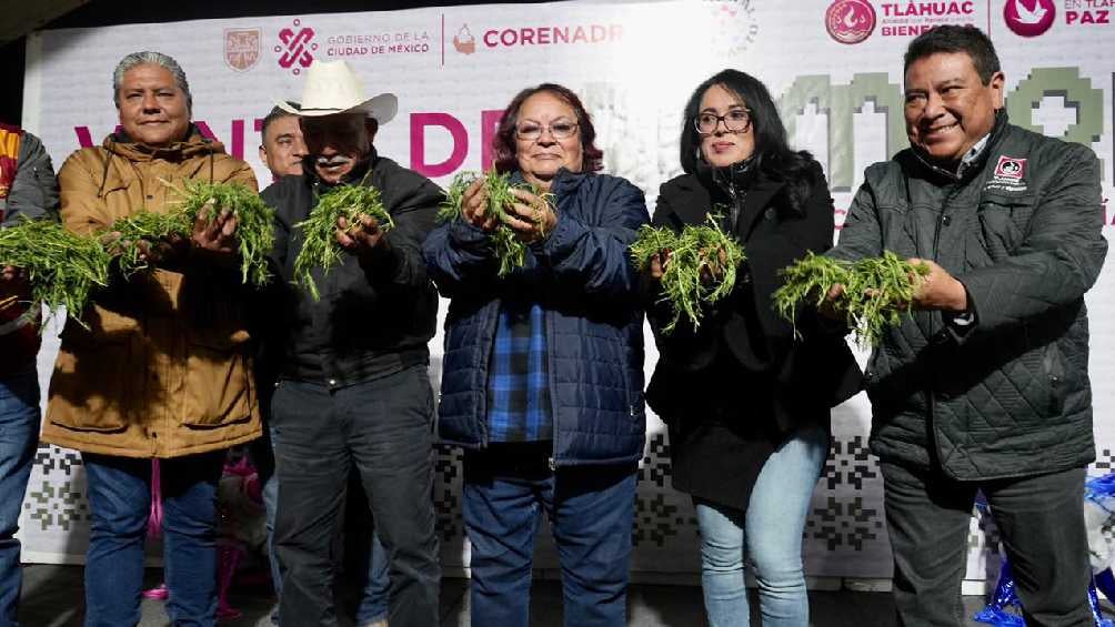 Productores de romeritos esperan comercializar seis mil toneladas en temporada decembrina