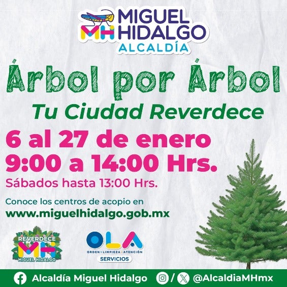 En Miguel Hidalgo también hay centros donde llevar tu árbol. 