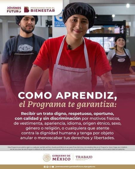 Los jóvenes tienen la posibilidad de adquirir experiencia laboral. 