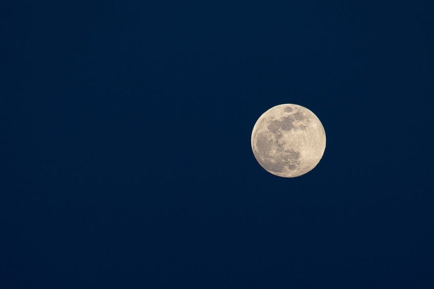 La Luna de Lobo tendrá su máximo punto a la media noche. 