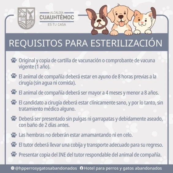 Todo lo que se necesita para que puedas esterilizar a tu mascota. 