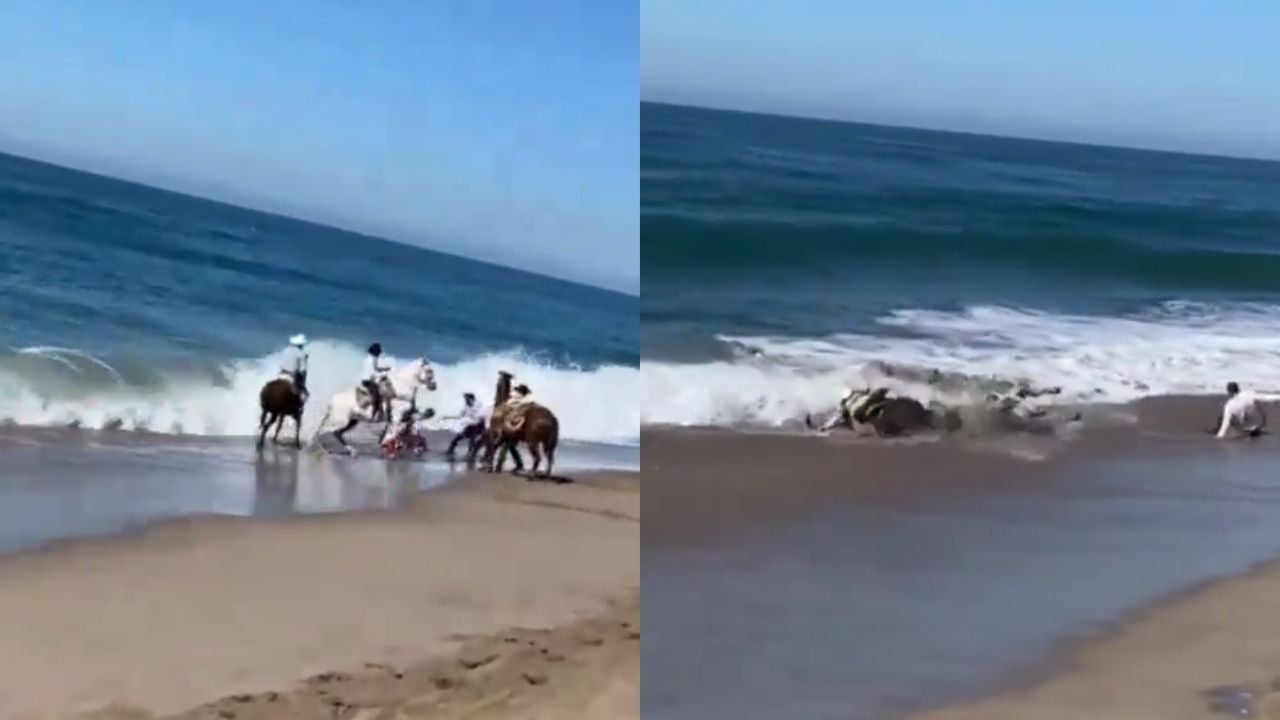 Rescatan a caballo y jinete 