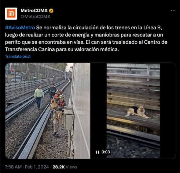 Informe del Metro sobre el rescate del perro. 