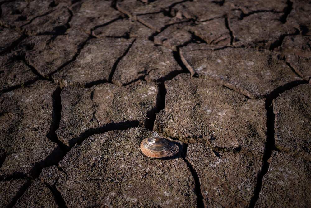 Entre entre junio y agostó se espera la llegada del fenómeno natural.