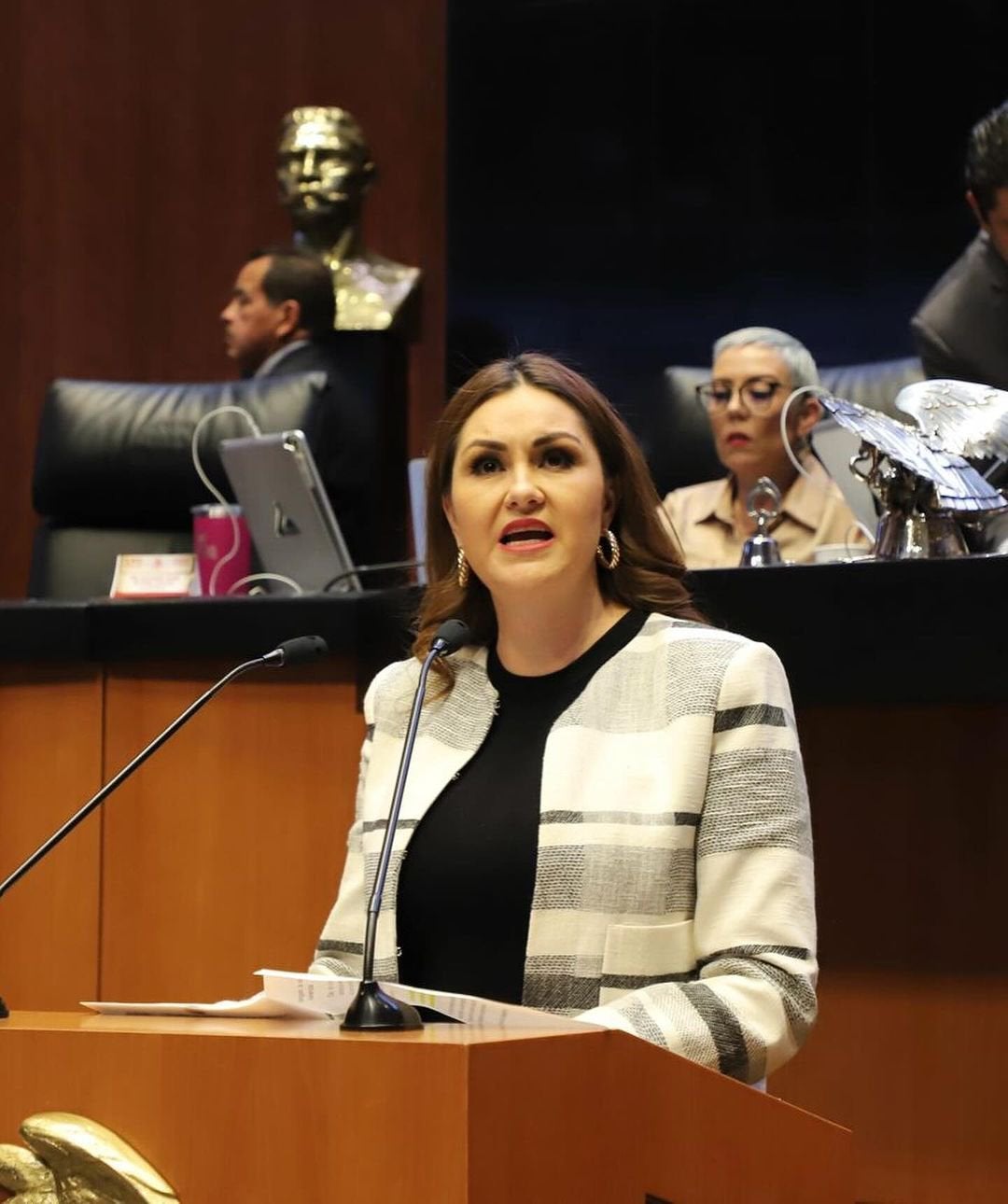 La senadora Geovanna Bañuelos propuso modificaciones al Código Penal Federal.