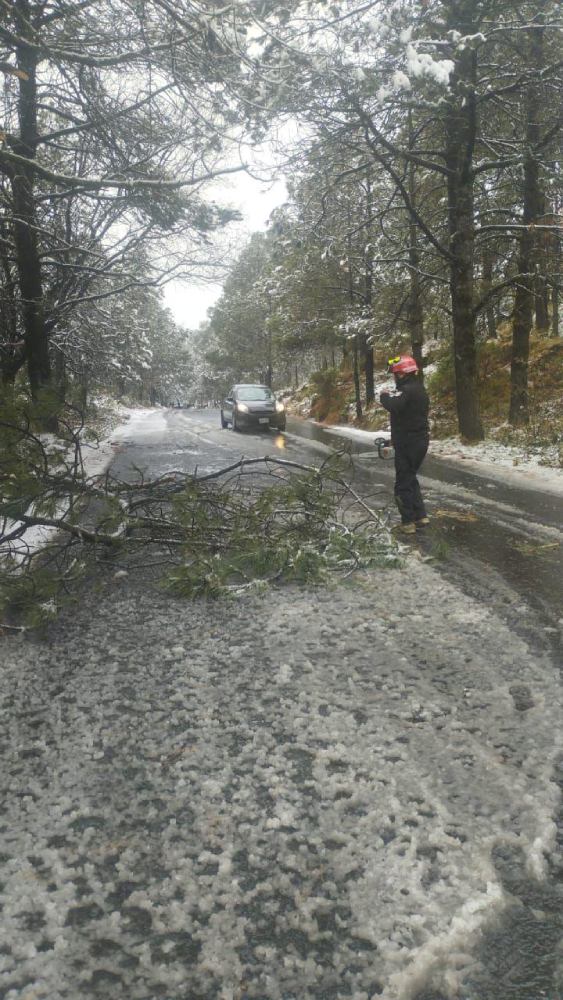 Los caminos al Ajusco se vieron afectados por los fuertes vientos y el agua-nieve.