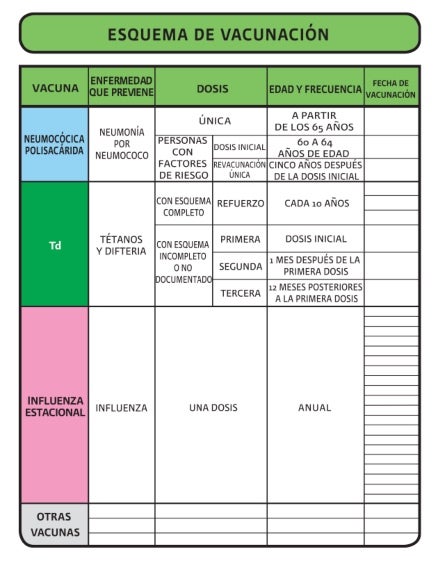 La cartilla de vacunación para adultos mayores. 