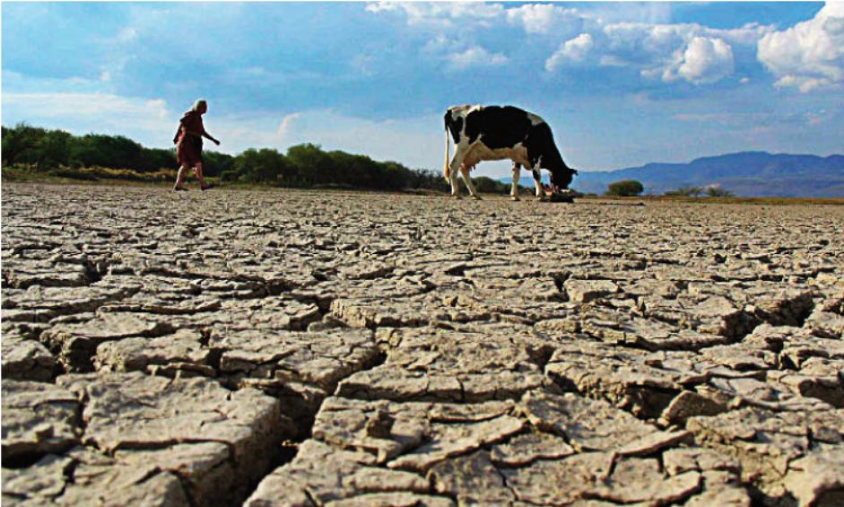 En algunos lugares la falta de agua es preocupante.