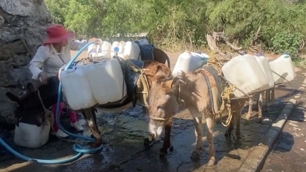 Crisis del agua: Al sur de la CDMX, la única forma de que llegue el líquido, es en animales de carga