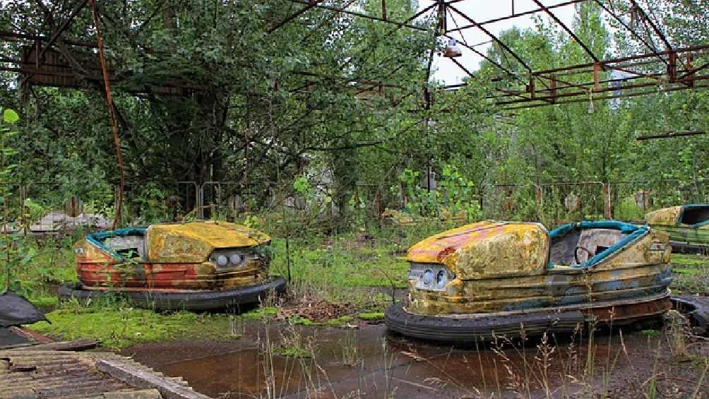 La zona de Chernobyl está abandona desde 1986. 