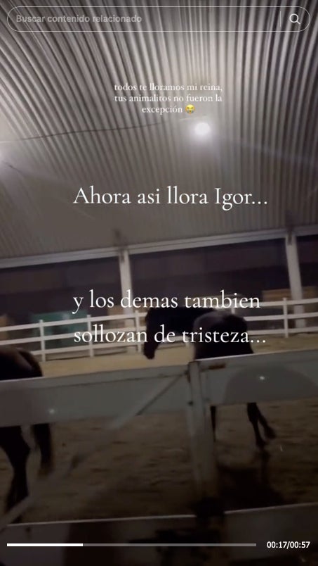 Los caballos saben que la patrona se ha retirado.