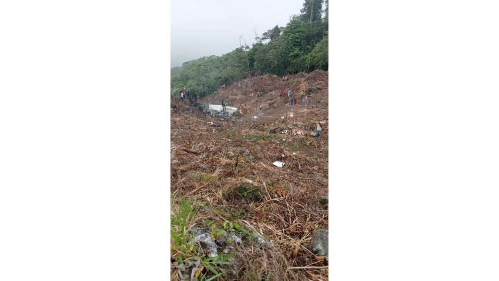 La avioneta se habría desplomado tras una supuesta falla en el motor. 