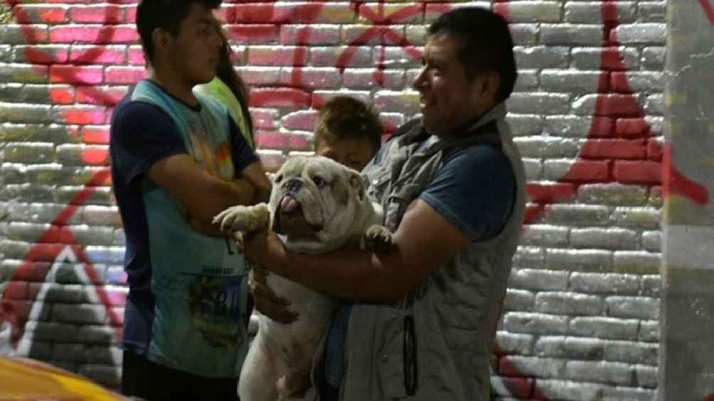 Rescatan a perrito del accidente de helicóptero en Coyoacán. ¡Vivía en el taller mecánico donde se derrumbó la aeronave!