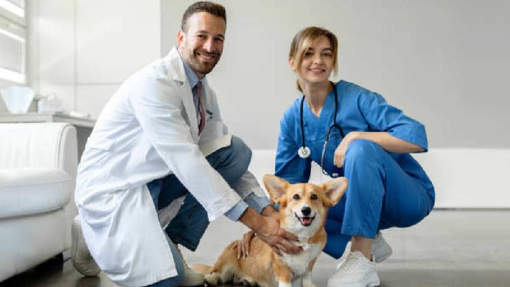 En México, un veterinario en promedio gana mensualmente 12 mil pesos. 